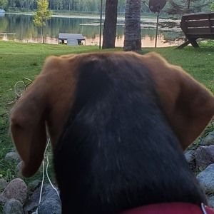 Meet your Posher, Mike